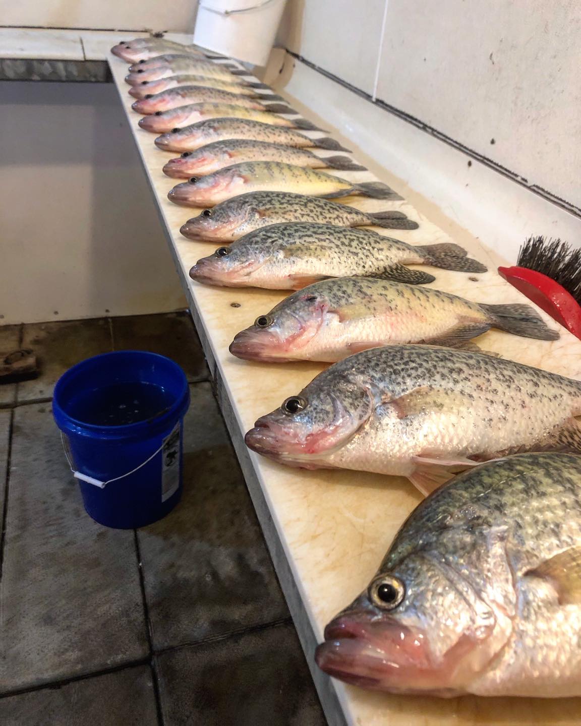 Truman Lake Wintertime Crappie Preview Truman Lake Fishing Intel