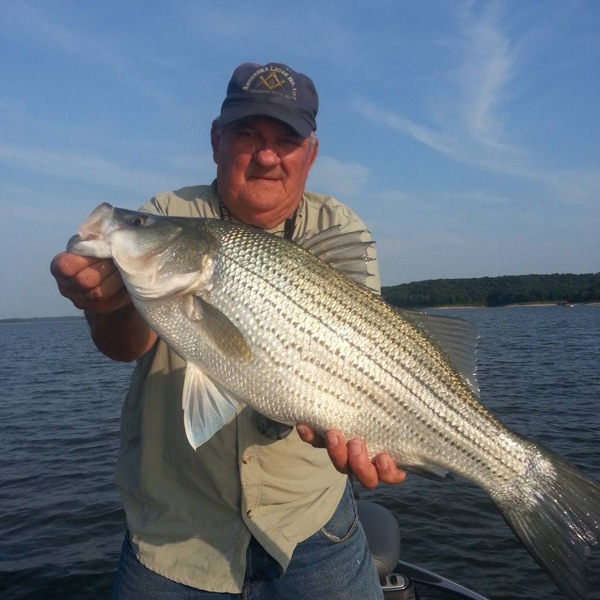 Bob Bates - Truman Lake Fishing Intel