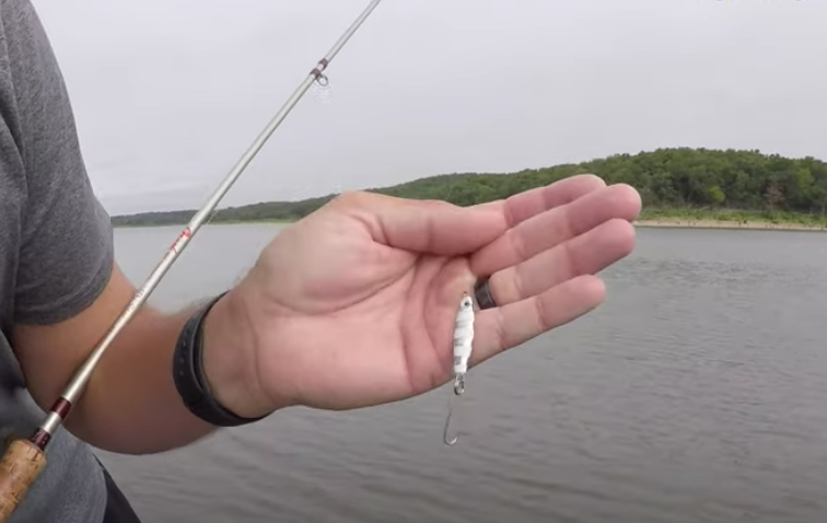 JelifishUSA Crappie Bomb Truman Lake Fishing Intel